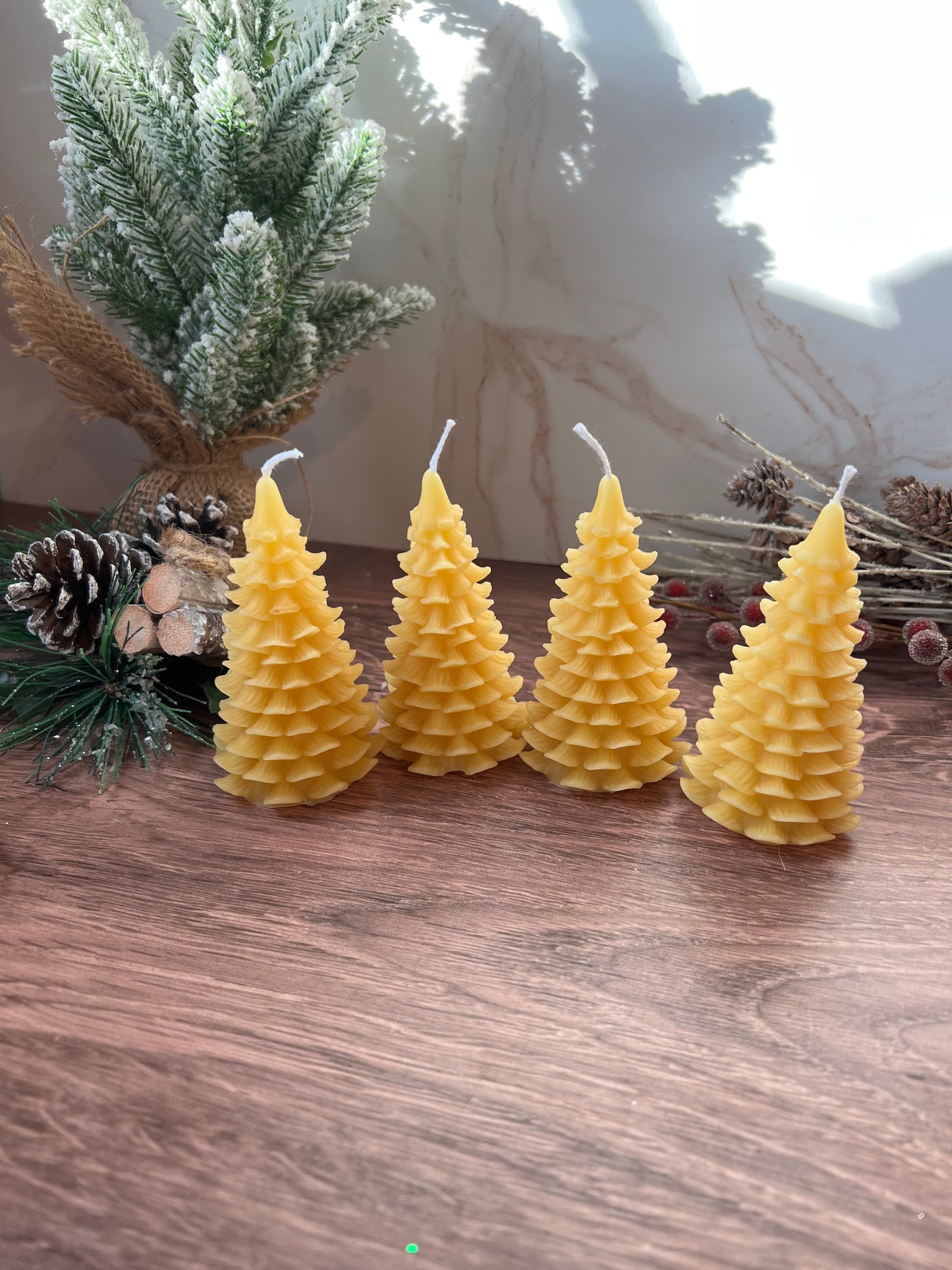 Beeswax Trees