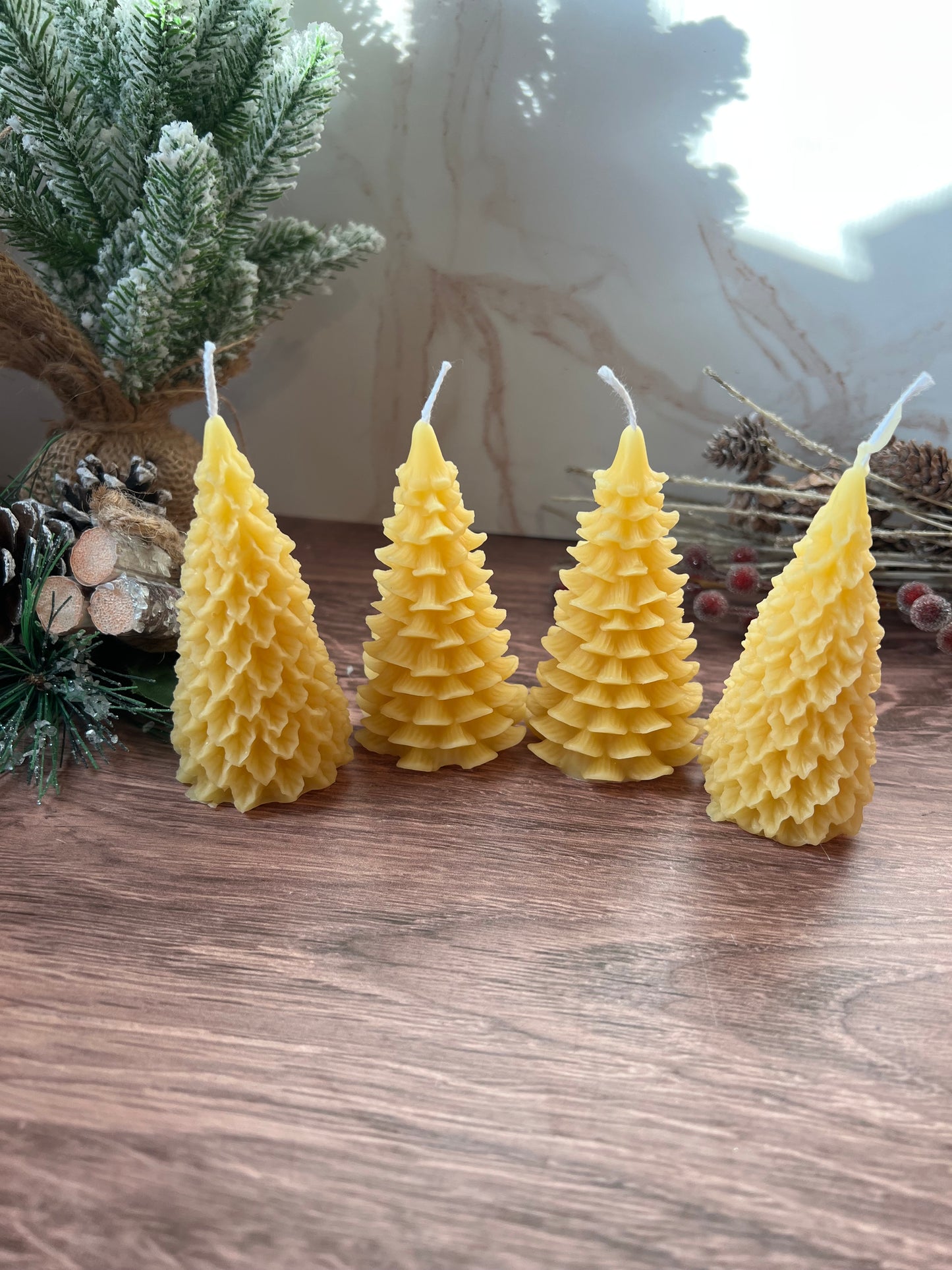 Beeswax Trees