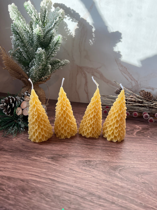 Beeswax Trees